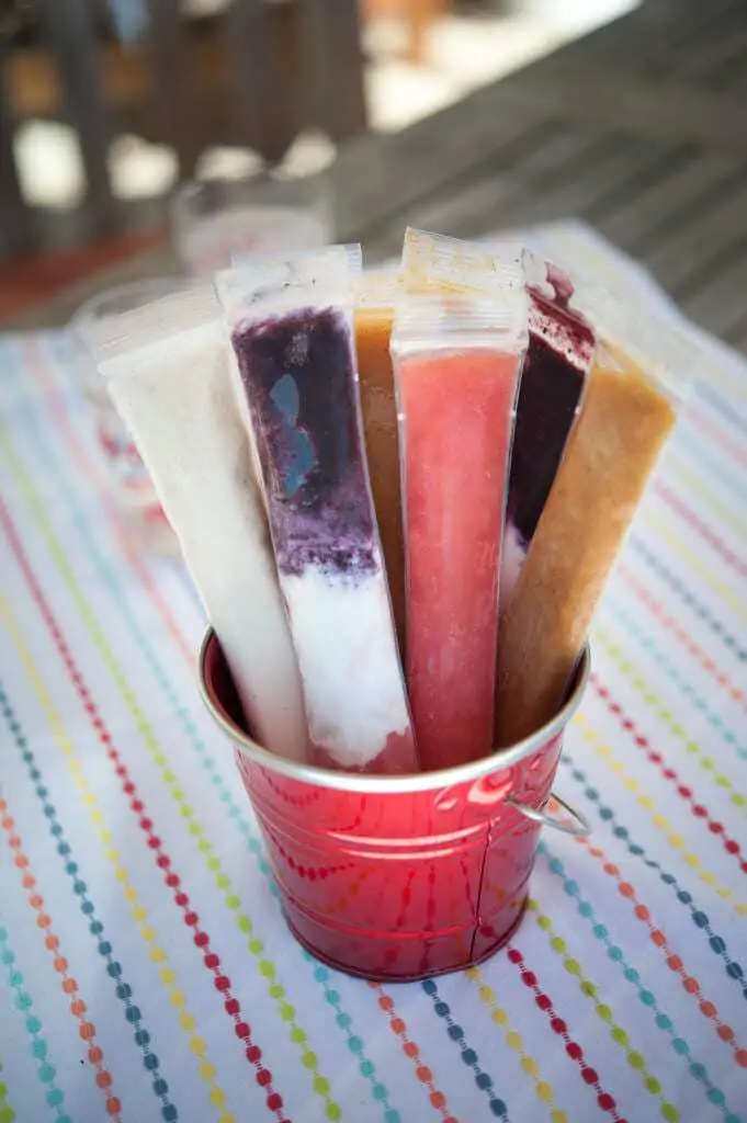 Portable Paleo Popsicles by Thriving on Paleo