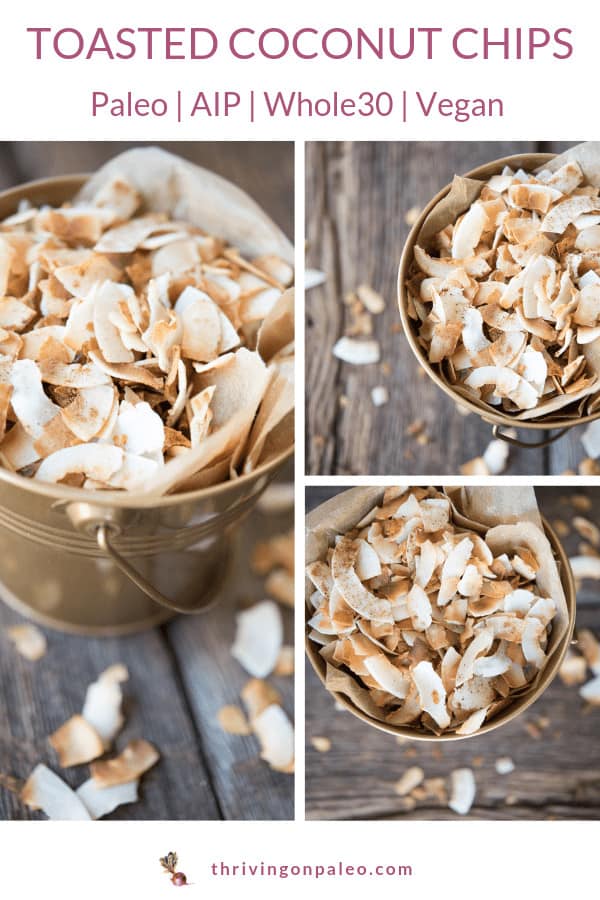 Paleo AIP Toasted Coconut Chips
