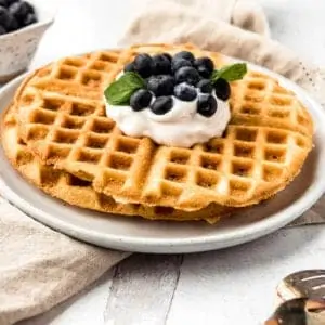 AIP waffles covered with coconut whipped cream, fresh blueberries and mint from the side